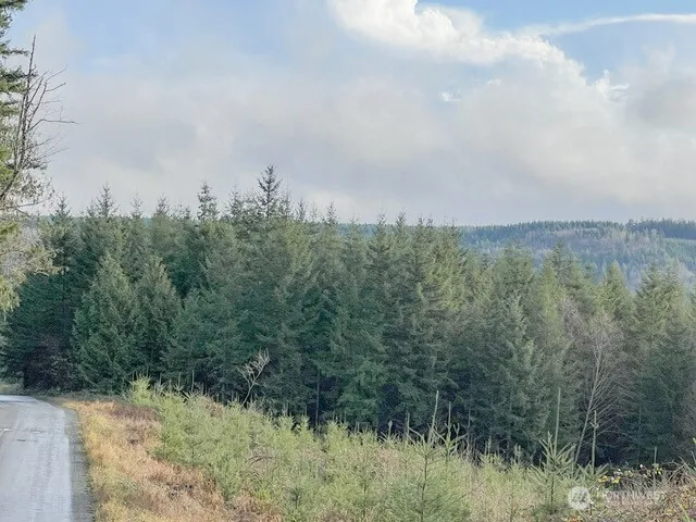 1 xxx Snow Creek Road Quilcene, WA 98376
