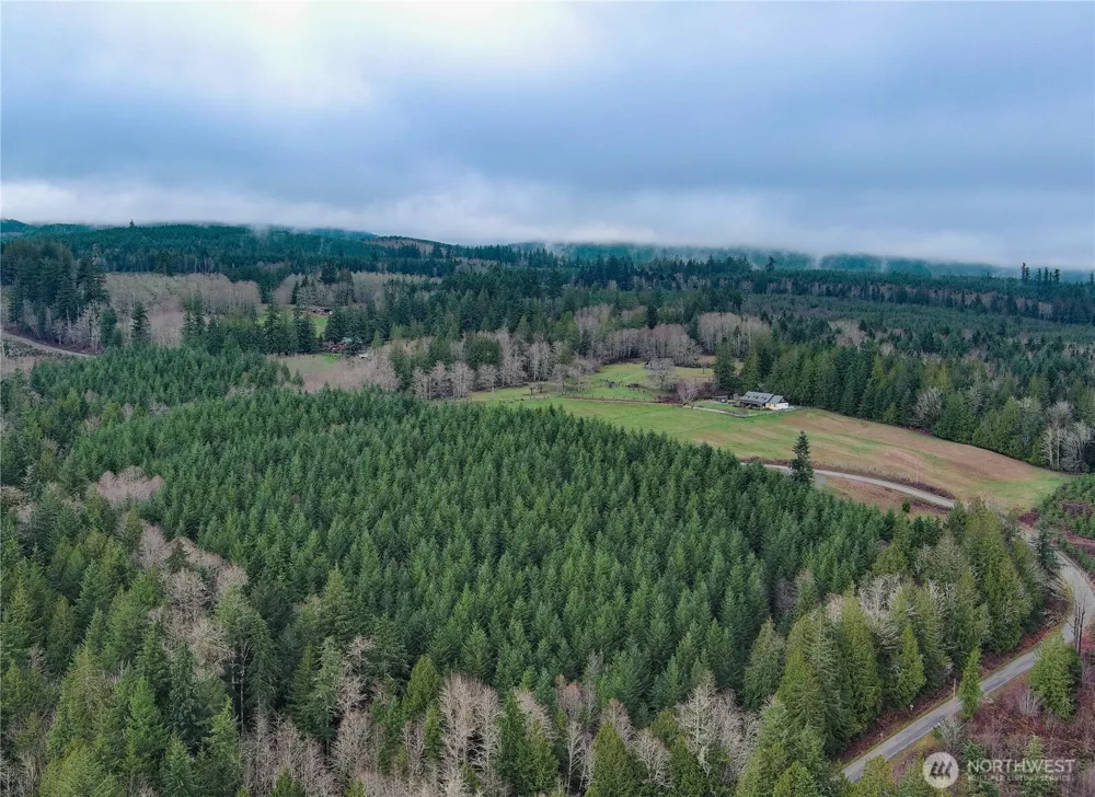 1 xxx Snow Creek Road Quilcene, WA 98376