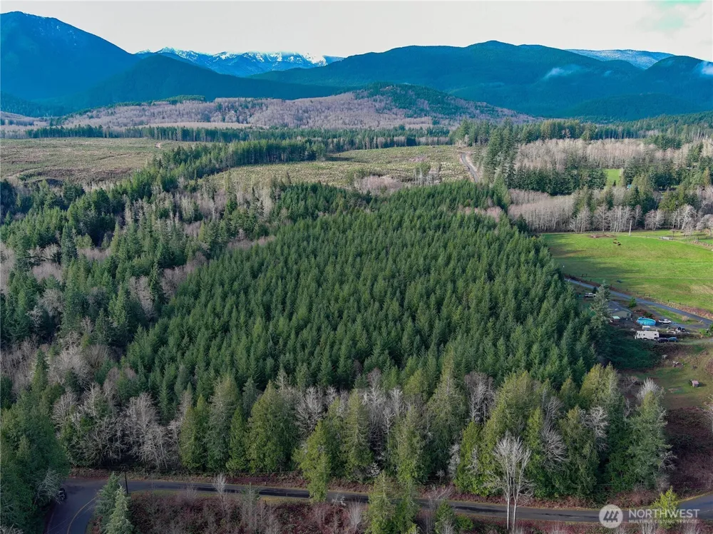 1 xxx Snow Creek Road Quilcene, WA 98376