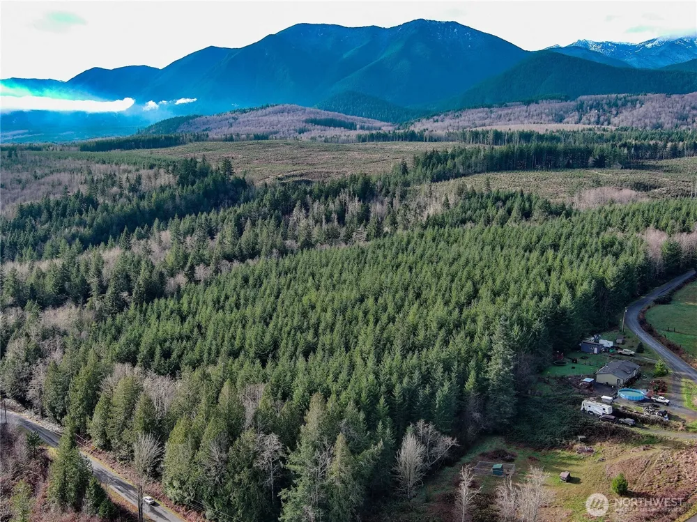 1 xxx Snow Creek Road Quilcene, WA 98376