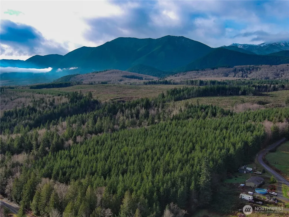 1 xxx Snow Creek Road Quilcene, WA 98376