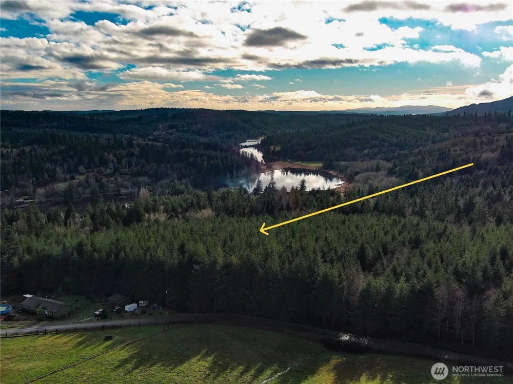 1 xxx Snow Creek Road Quilcene, WA 98376