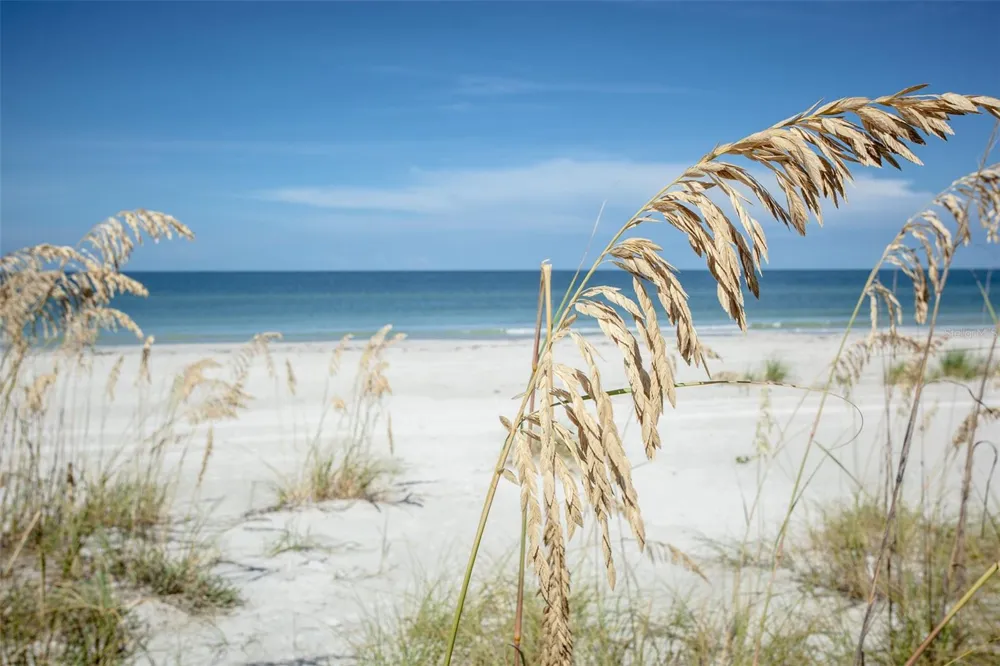 3000 PASS A GRILLE WAY St Pete Beach, FL 33706