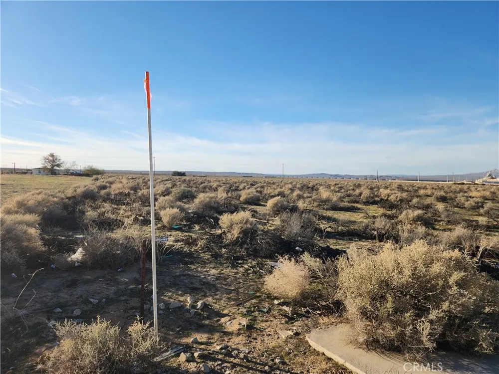 20 Edie Road Hinkley, CA 92347