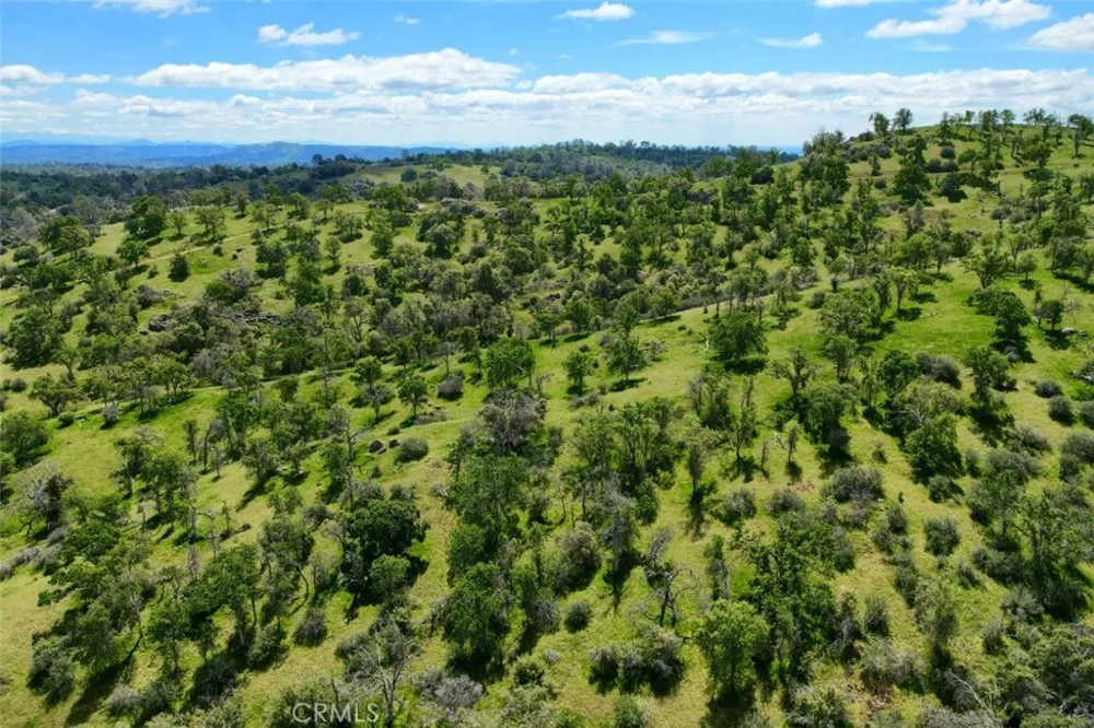 42625 Red Top Mountain Court Coarsegold, CA 93614