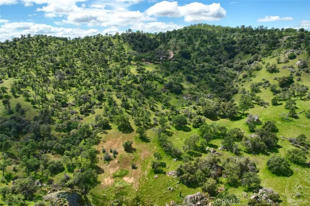 42625 Red Top Mountain Court Coarsegold, CA 93614