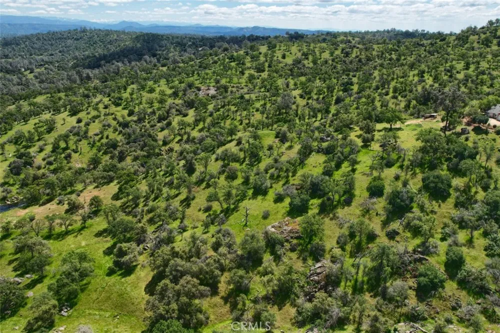 42625 Red Top Mountain Court Coarsegold, CA 93614