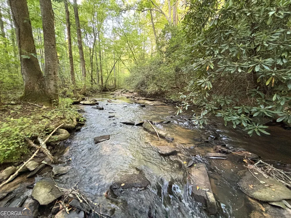 LOT 6 Mt Springer Road