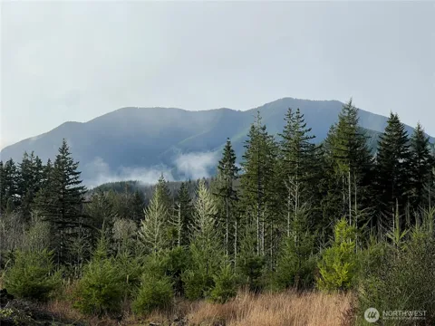 3 xxx Snow Creek Road