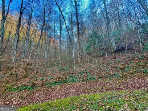 22 Walkers Ridge