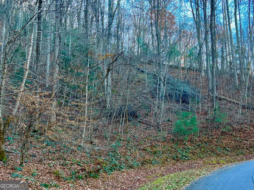 22 Walkers Ridge Mineral Bluff, GA 30559