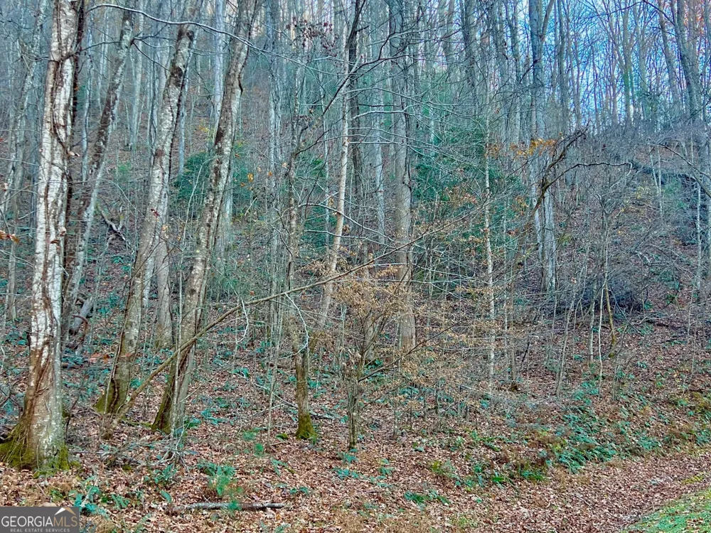 22 Walkers Ridge Mineral Bluff, GA 30559