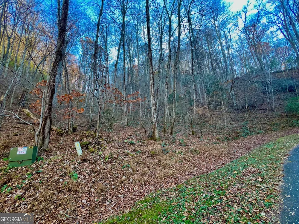 22 Walkers Ridge Mineral Bluff, GA 30559