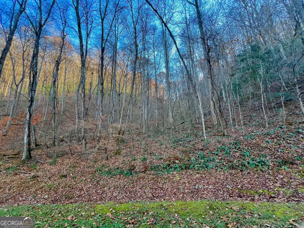 22 Walkers Ridge Mineral Bluff, GA 30559