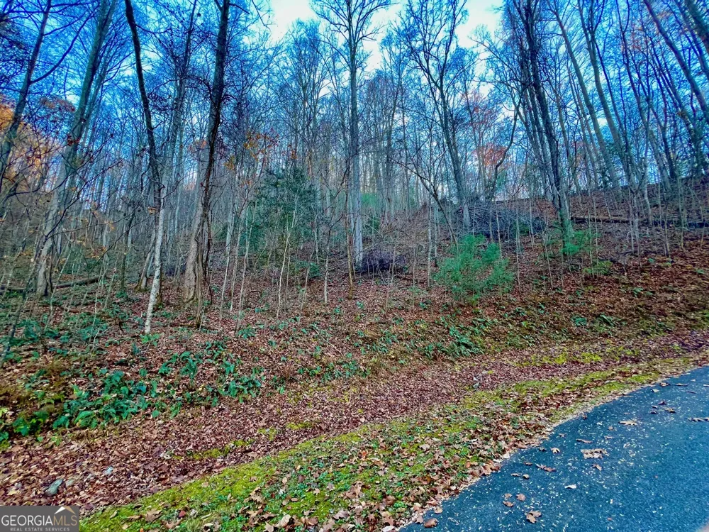 22 Walkers Ridge Mineral Bluff, GA 30559