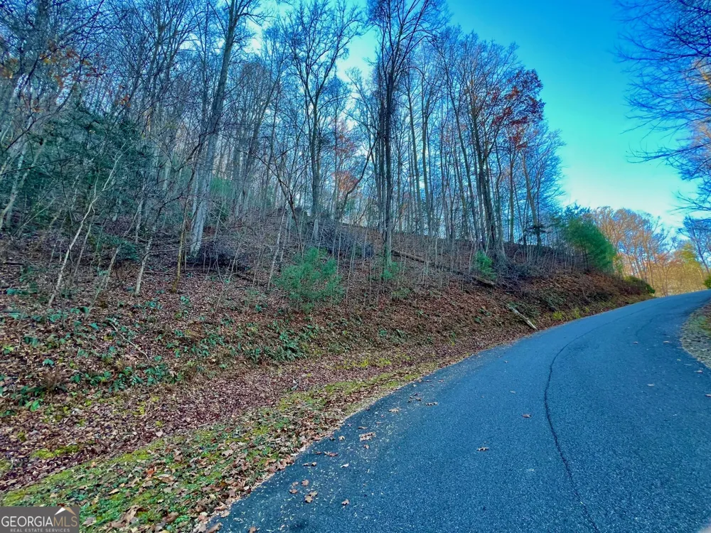 22 Walkers Ridge Mineral Bluff, GA 30559