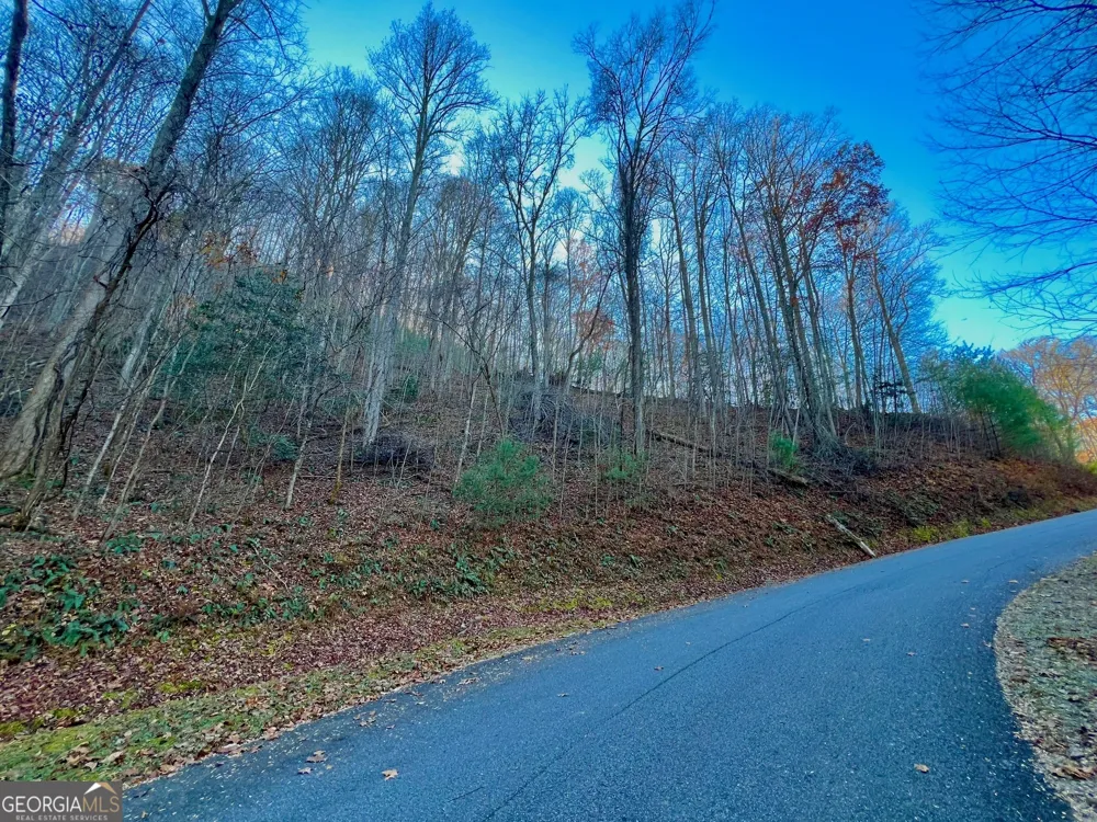 22 Walkers Ridge Mineral Bluff, GA 30559