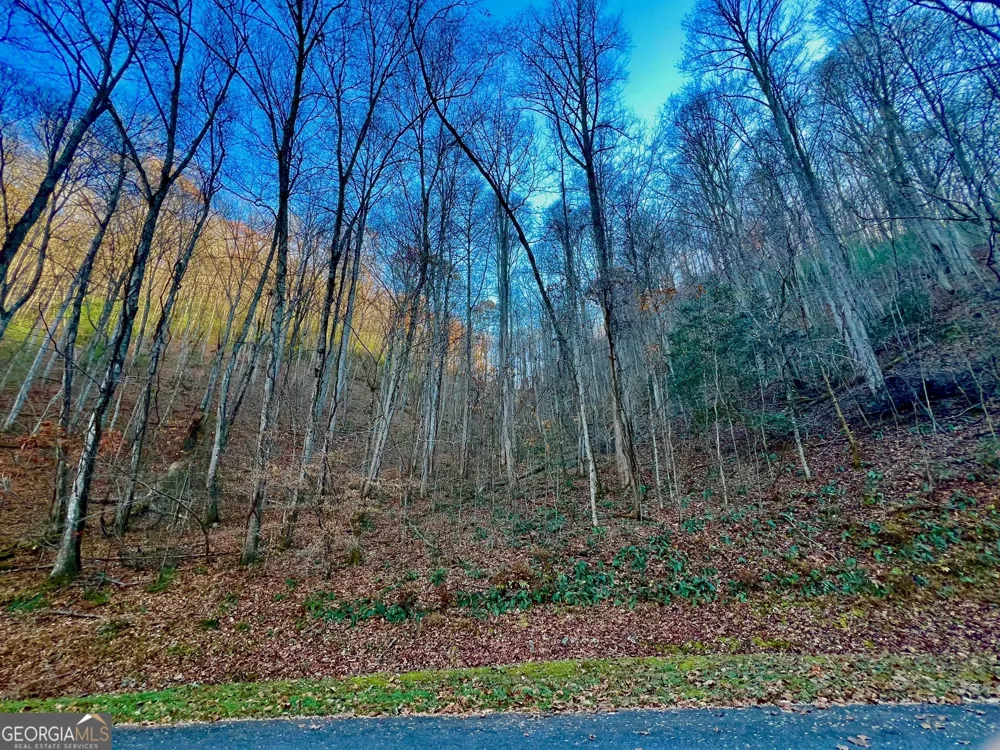 22 Walkers Ridge Mineral Bluff, GA 30559