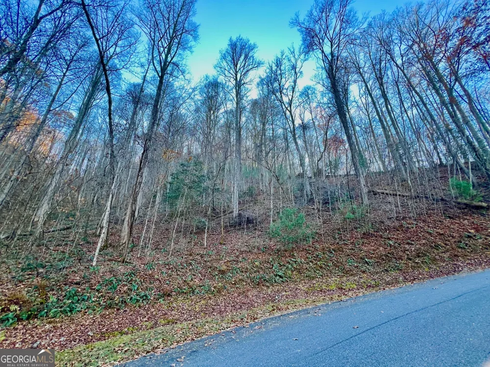 22 Walkers Ridge Mineral Bluff, GA 30559