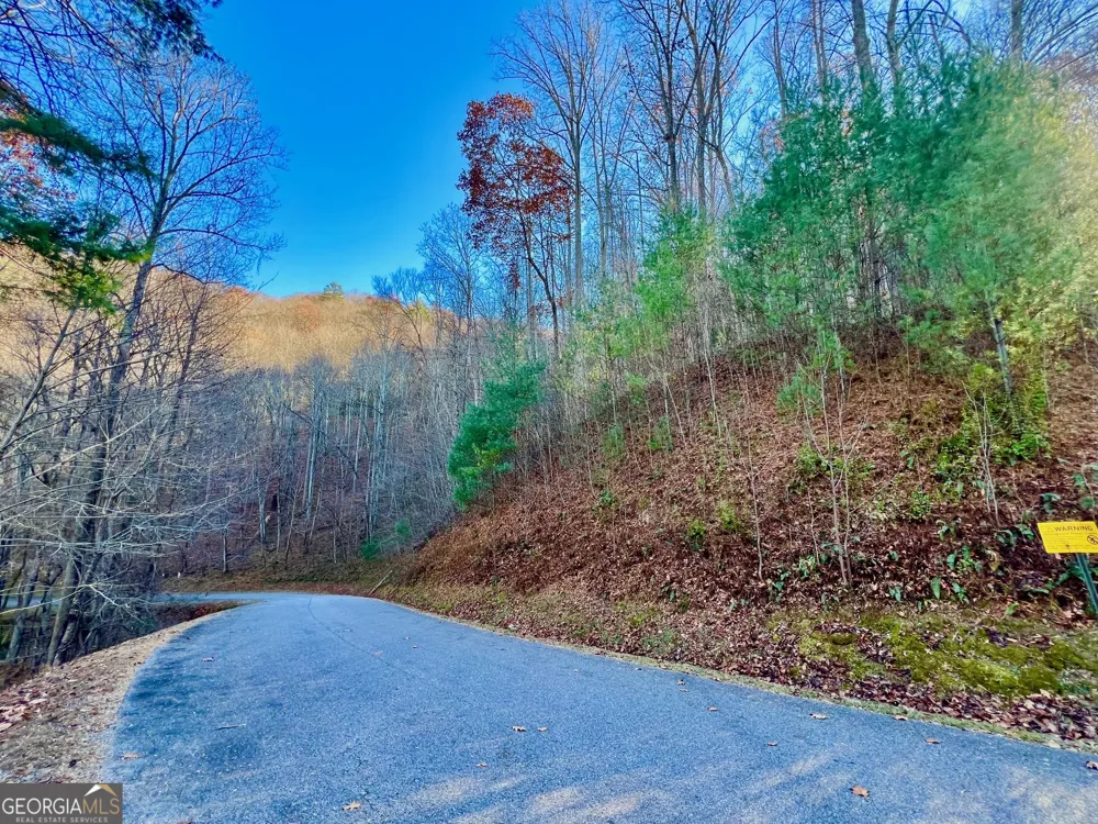 22 Walkers Ridge Mineral Bluff, GA 30559