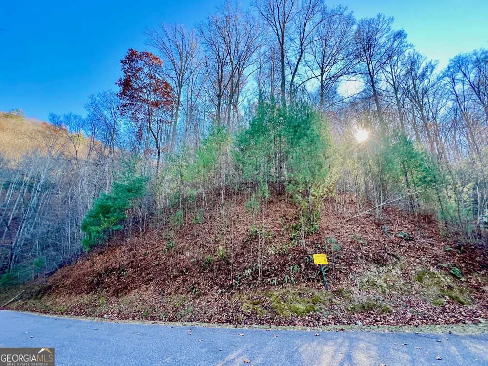 22 Walkers Ridge Mineral Bluff, GA 30559