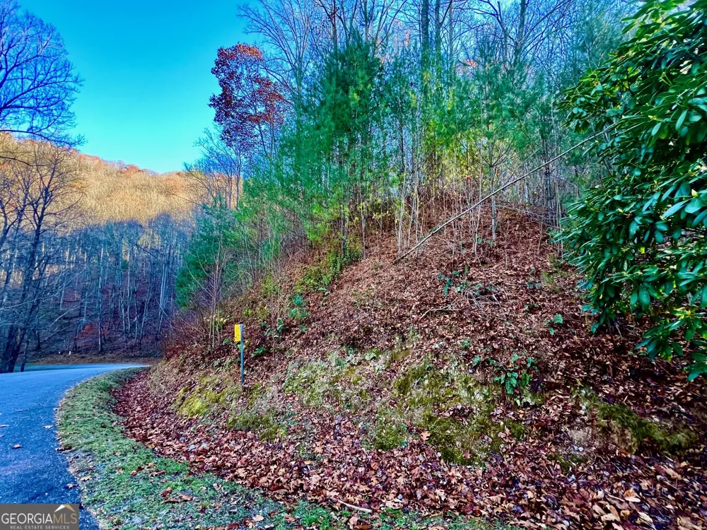 22 Walkers Ridge Mineral Bluff, GA 30559