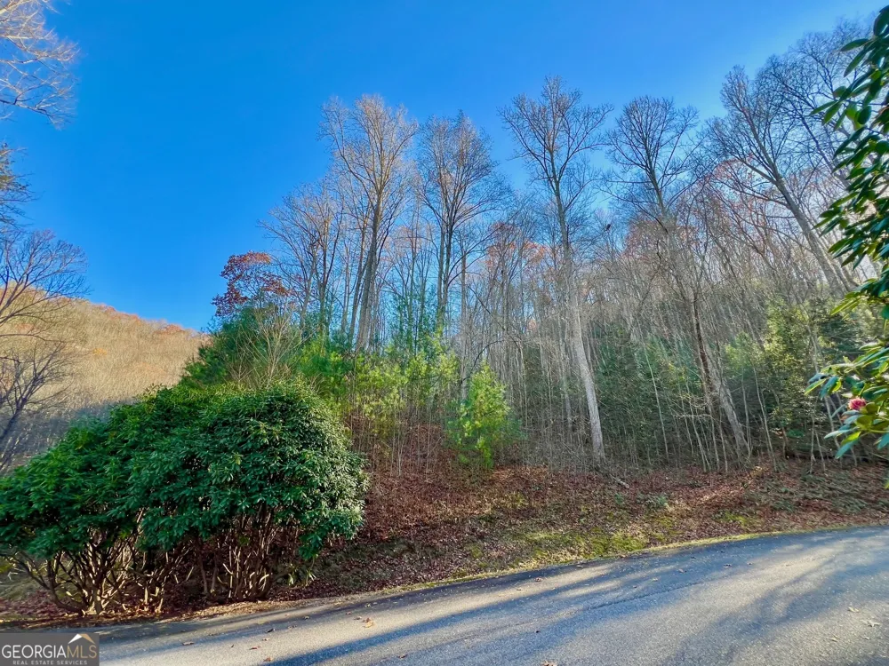 22 Walkers Ridge Mineral Bluff, GA 30559