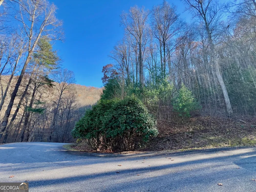 22 Walkers Ridge Mineral Bluff, GA 30559