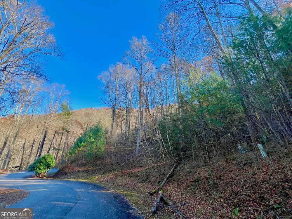 22 Walkers Ridge Mineral Bluff, GA 30559