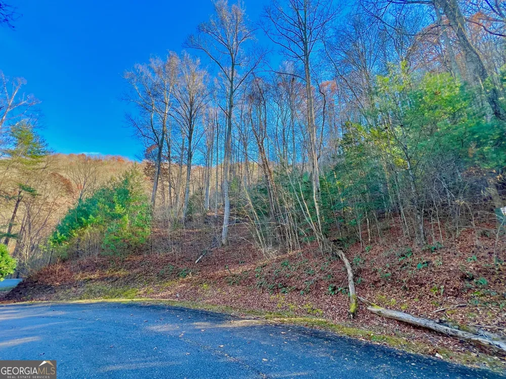 22 Walkers Ridge Mineral Bluff, GA 30559