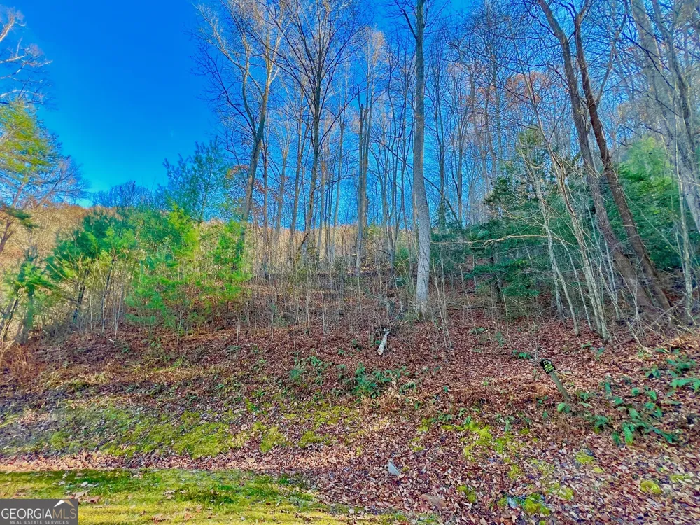 22 Walkers Ridge Mineral Bluff, GA 30559