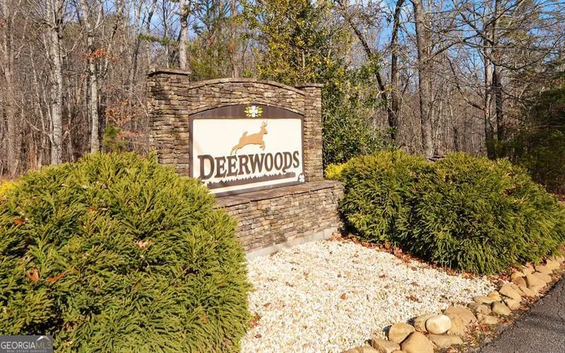 0 Twin Fawns Dahlonega, GA 30533