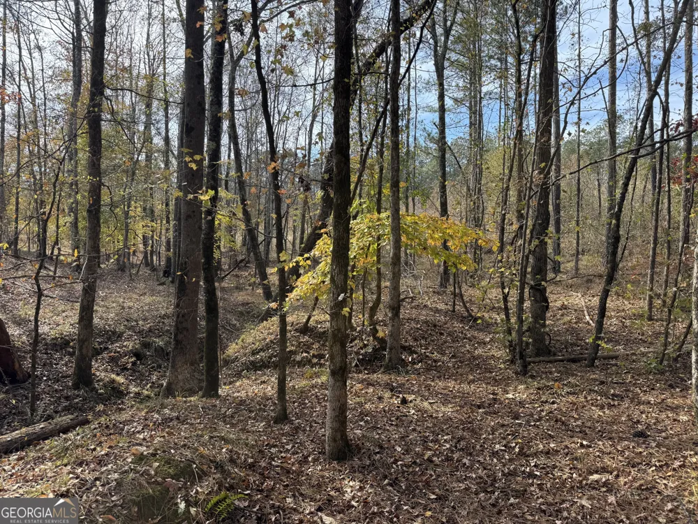 0 Old Middleton RD Elberton, GA 30635