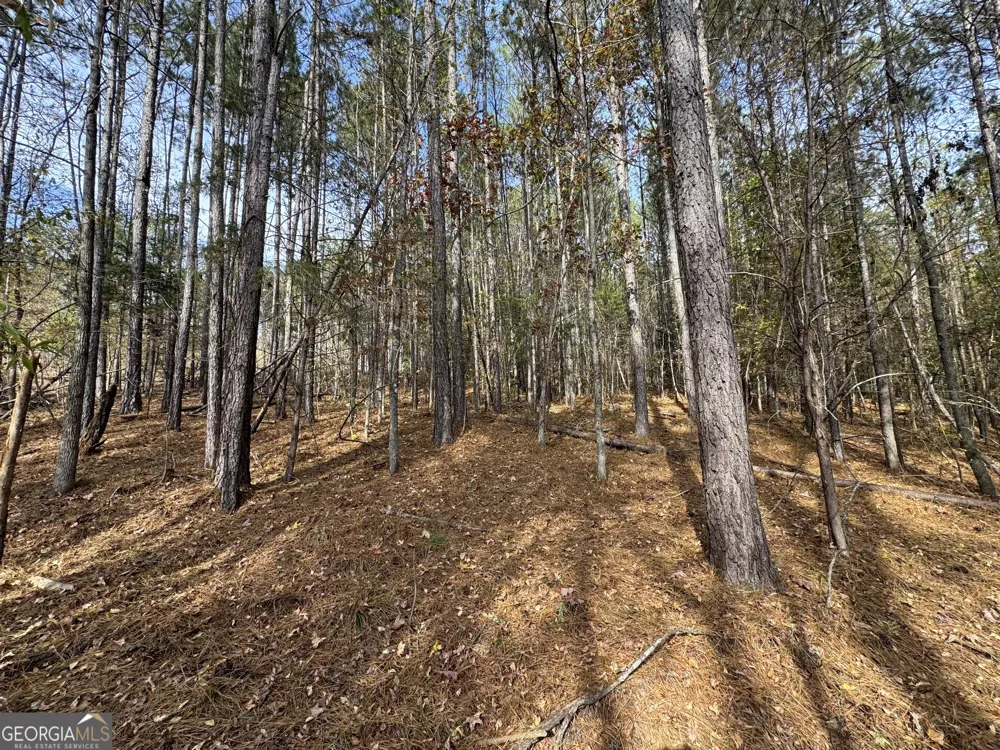 0 Old Middleton RD Elberton, GA 30635
