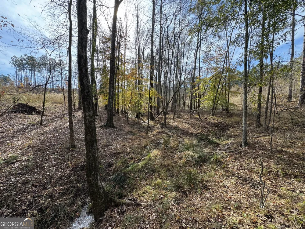 0 Old Middleton RD Elberton, GA 30635