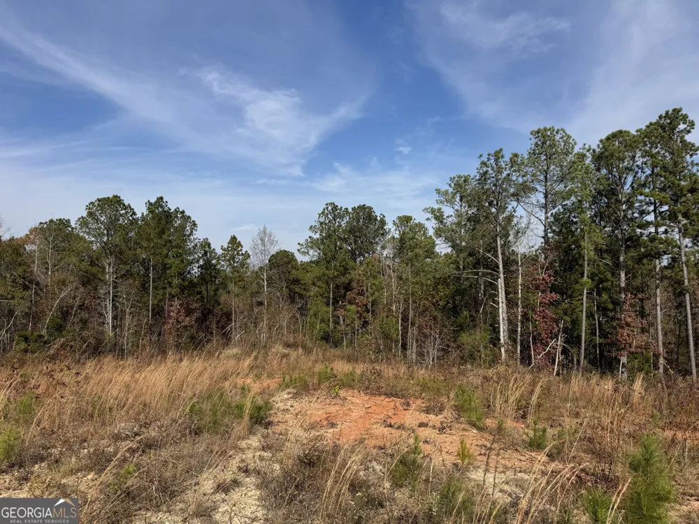 0 Old Middleton RD Elberton, GA 30635