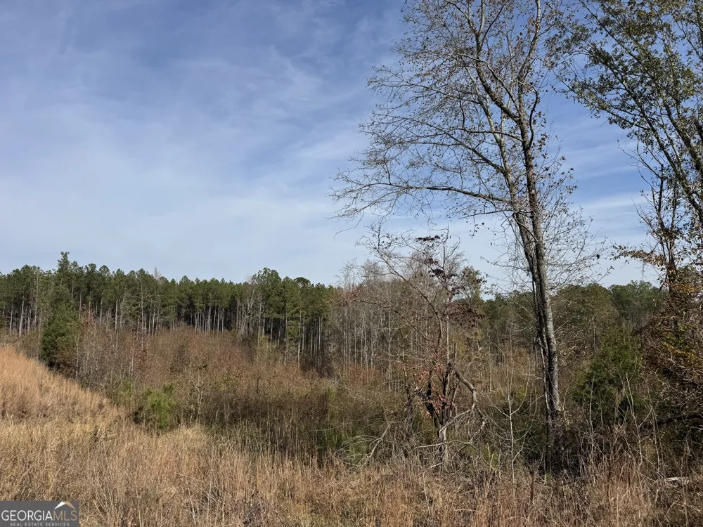 0 Old Middleton RD Elberton, GA 30635