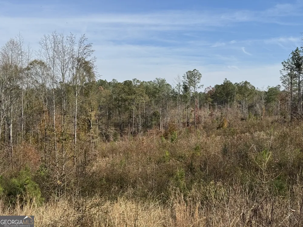 0 Old Middleton RD Elberton, GA 30635