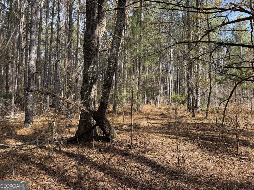 0 Old Middleton RD Elberton, GA 30635