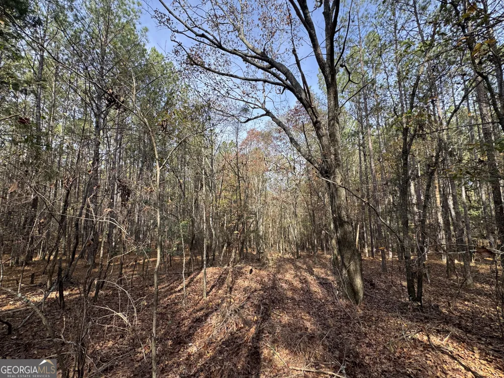 0 Old Middleton RD Elberton, GA 30635