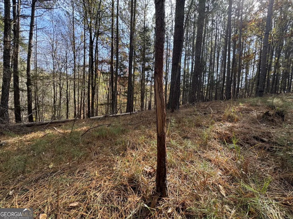 0 Old Middleton RD Elberton, GA 30635