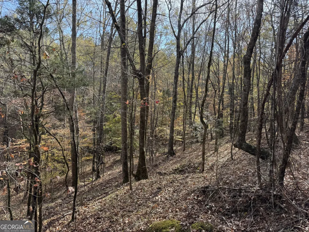 0 Old Middleton RD Elberton, GA 30635