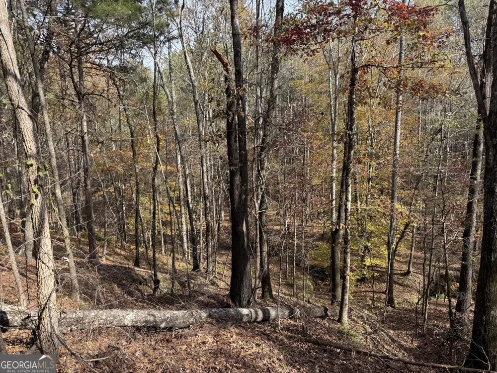 0 Old Middleton RD Elberton, GA 30635