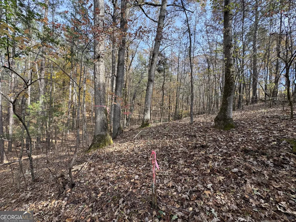 0 Old Middleton RD Elberton, GA 30635