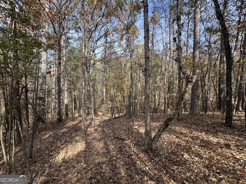 0 Old Middleton RD Elberton, GA 30635