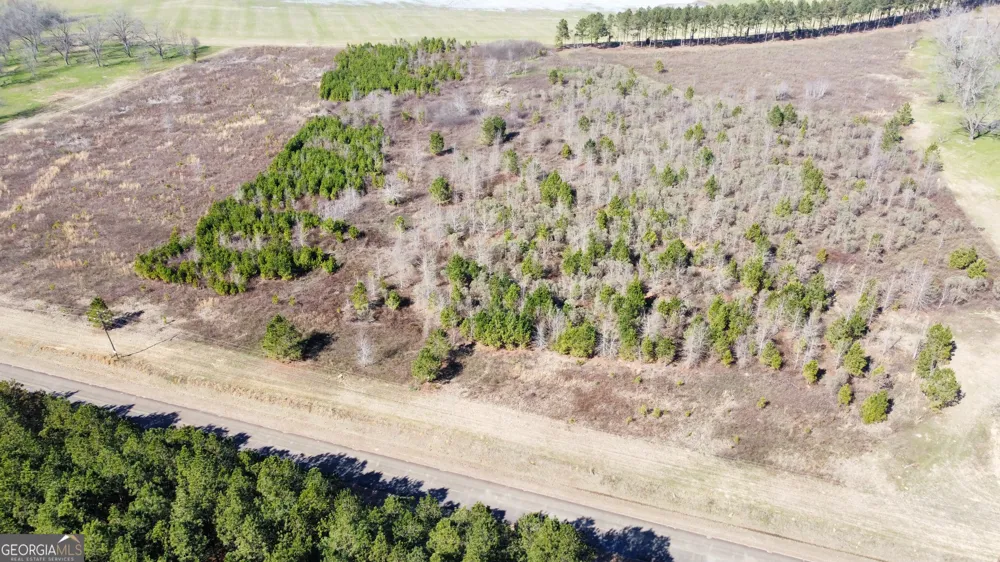 4 N County Line RD Elko, GA 31025