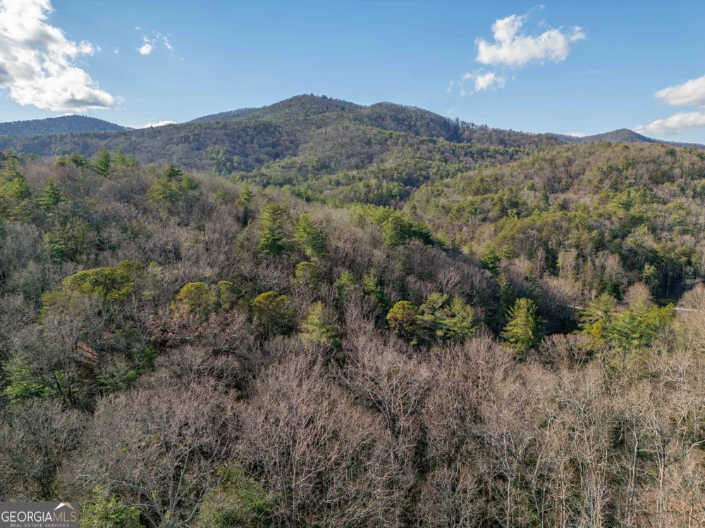 220 McConnell CT Helen, GA 30545