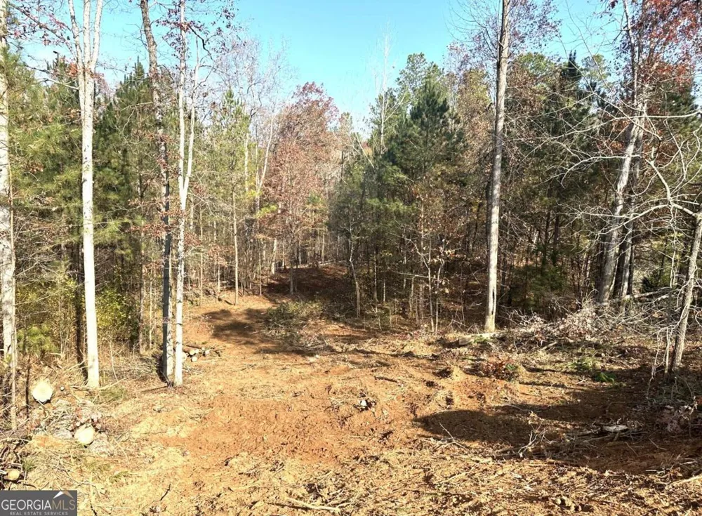 1698 Shoal Creek WAY Bishop, GA 30621