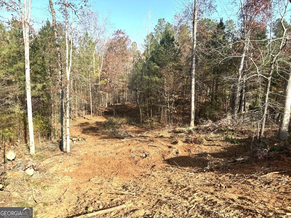 1698 Shoal Creek WAY Bishop, GA 30621