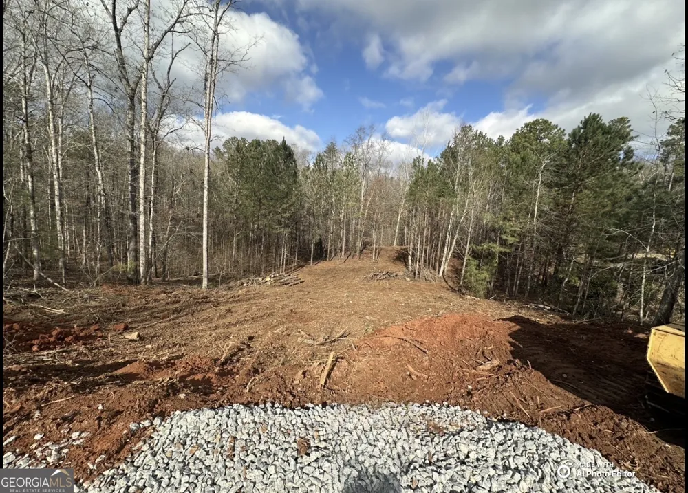 1698 Shoal Creek WAY Bishop, GA 30621